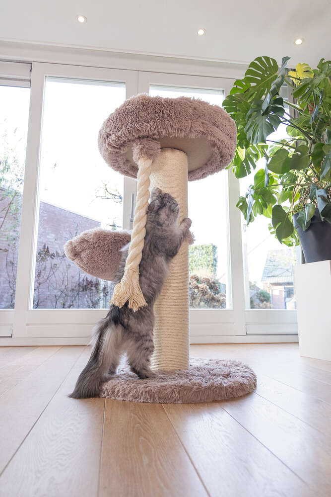 beeztees Kratzbaum Ramiro